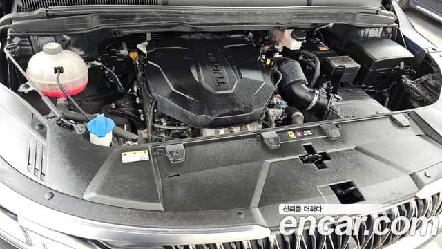 Carnival Motorină 7 locuri Hi-Limousine