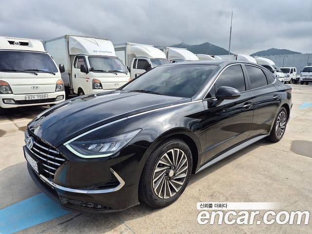 (DN8) Premium Plus