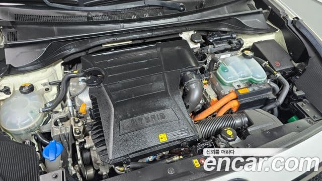 Niro Noblesse