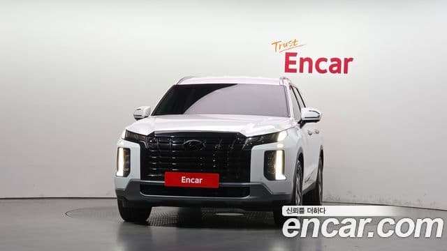 Palisade Benzină 3.8 2WD