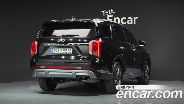 Palisade Benzină 3.8 2WD