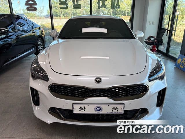 Stinger 2.0 Turbo 2WD