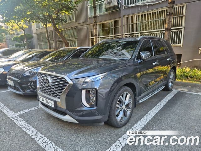 Palisade Motorină 2.2 2WD