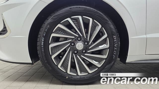 (DN8) Premium Plus