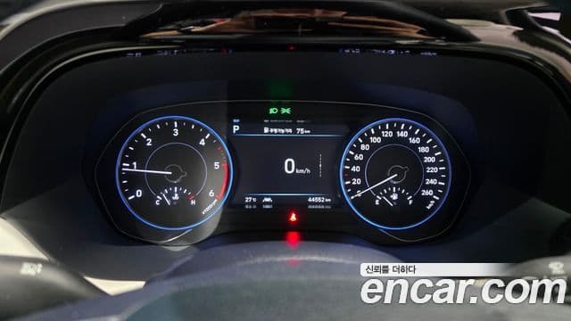 Palisade Motorină 2.2 2WD