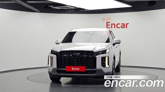 Palisade Benzină 3.8 2WD