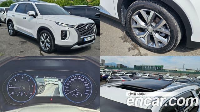 Palisade Motorină 2.2 4WD