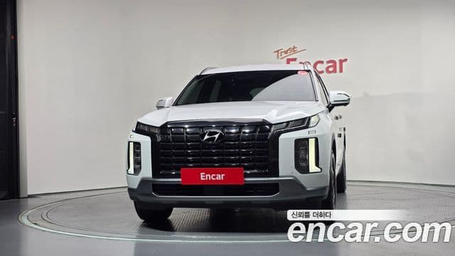 Palisade Benzină 3.8 2WD