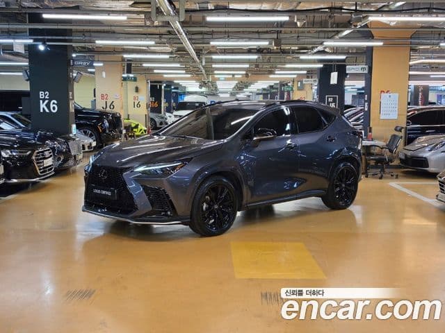 NX450h+ 2 F-Sport