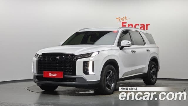 Palisade Benzină 3.8 2WD