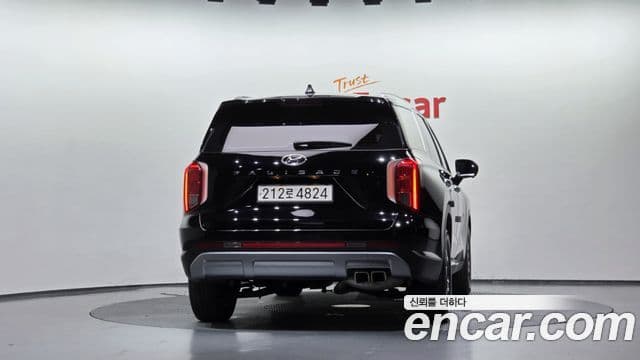 Palisade Benzină 3.8 2WD