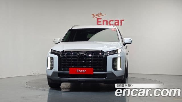 Palisade Benzină 3.8 4WD