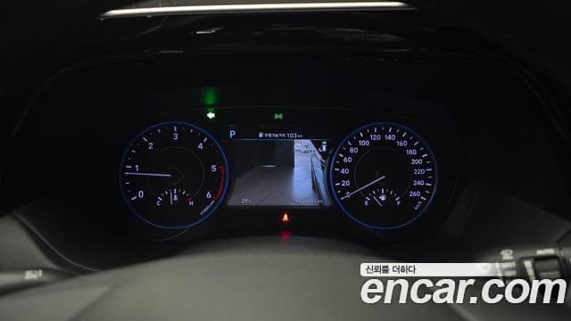 Palisade Motorină 2.2 2WD