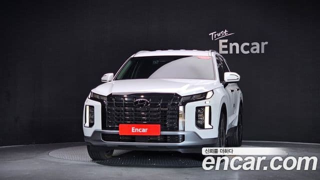 Palisade Benzină 3.8 2WD