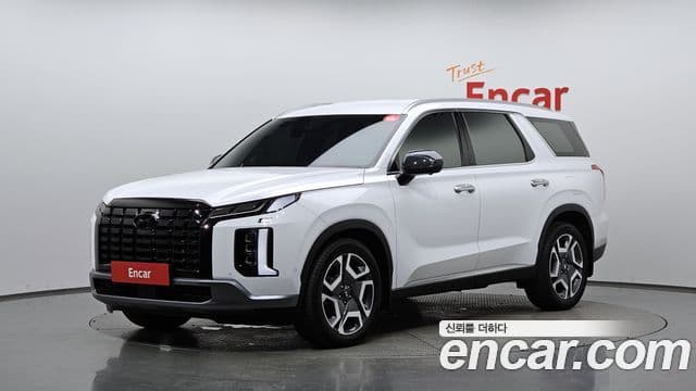 Palisade Benzină 3.8 2WD