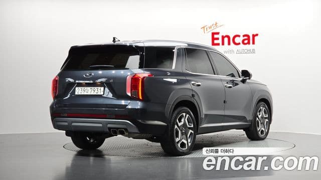 Palisade Benzină 3.8 2WD