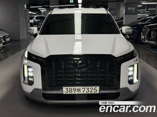 Palisade Motorină 2.2 2WD