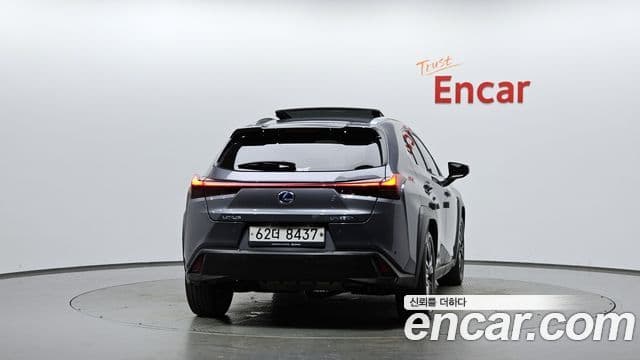 UX250h 2.0 AWD