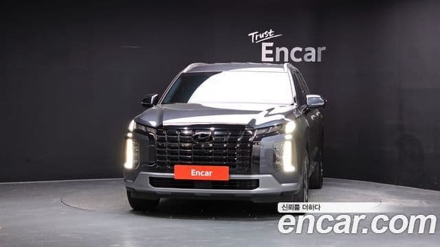 Palisade Benzină 3.8 2WD