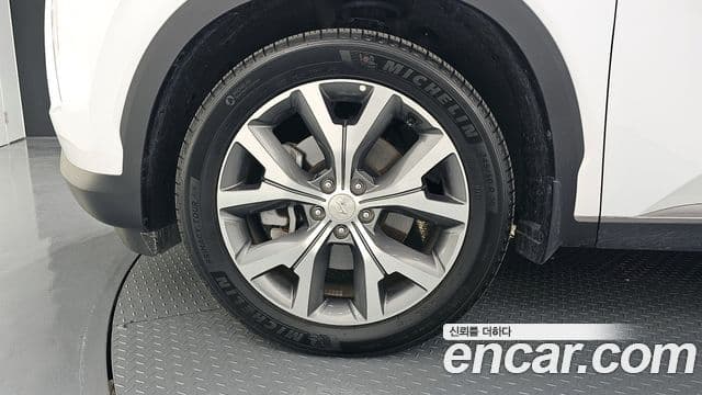 Palisade Motorină 2.2 2WD