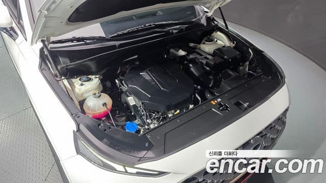 Santa Fe Motorină 2.2 2WD