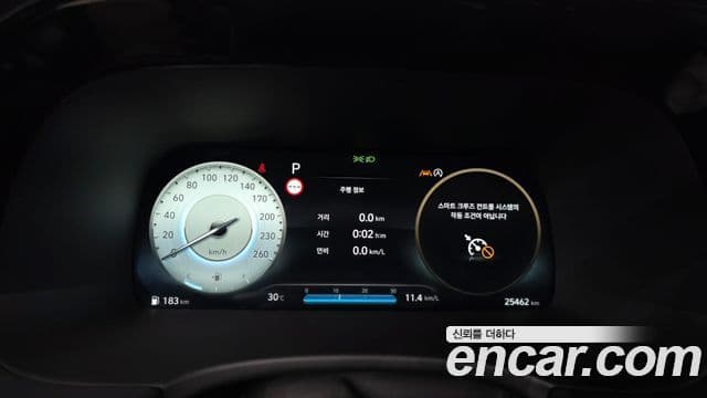 Palisade Benzină 3.8 2WD