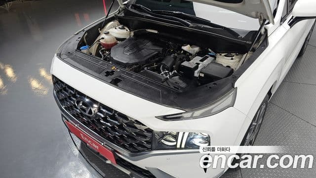 Santa Fe Motorină 2.2 2WD