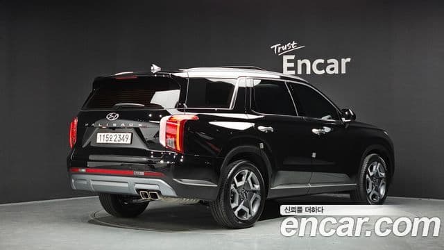 Palisade Benzină 3.8 2WD